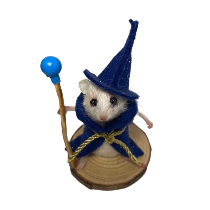 Taxidermy mouse in a wizard costume